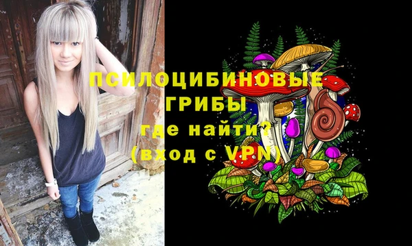 бошки Абаза