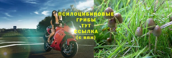 прущие крисы Переславль-Залесский